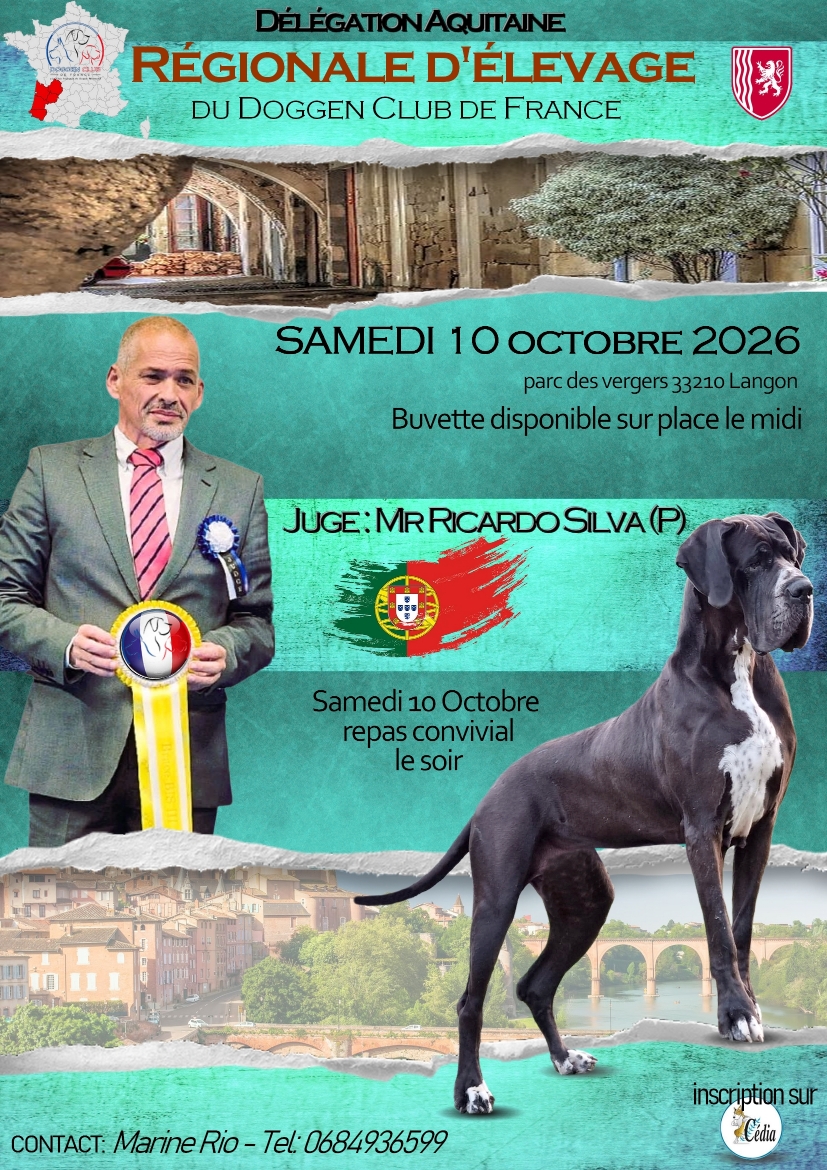 Affiche R.E. Doggen Club - Langon