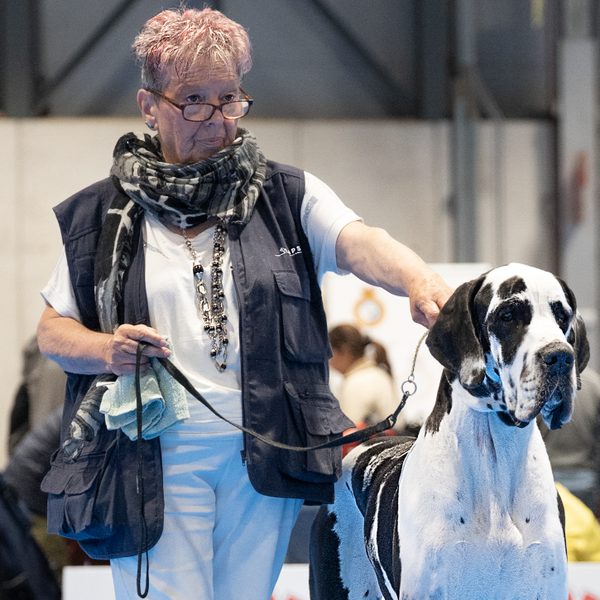 Élisabeth MONNIN-HACQUART