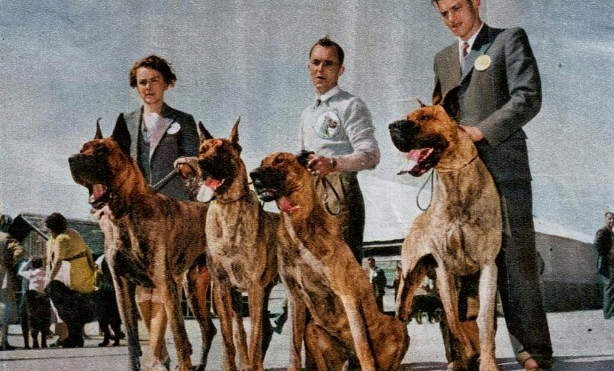 La Reconstruction après-guerre