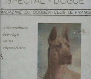 Naissance du Trait d'Union