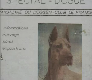 Naissance du Trait d'Union