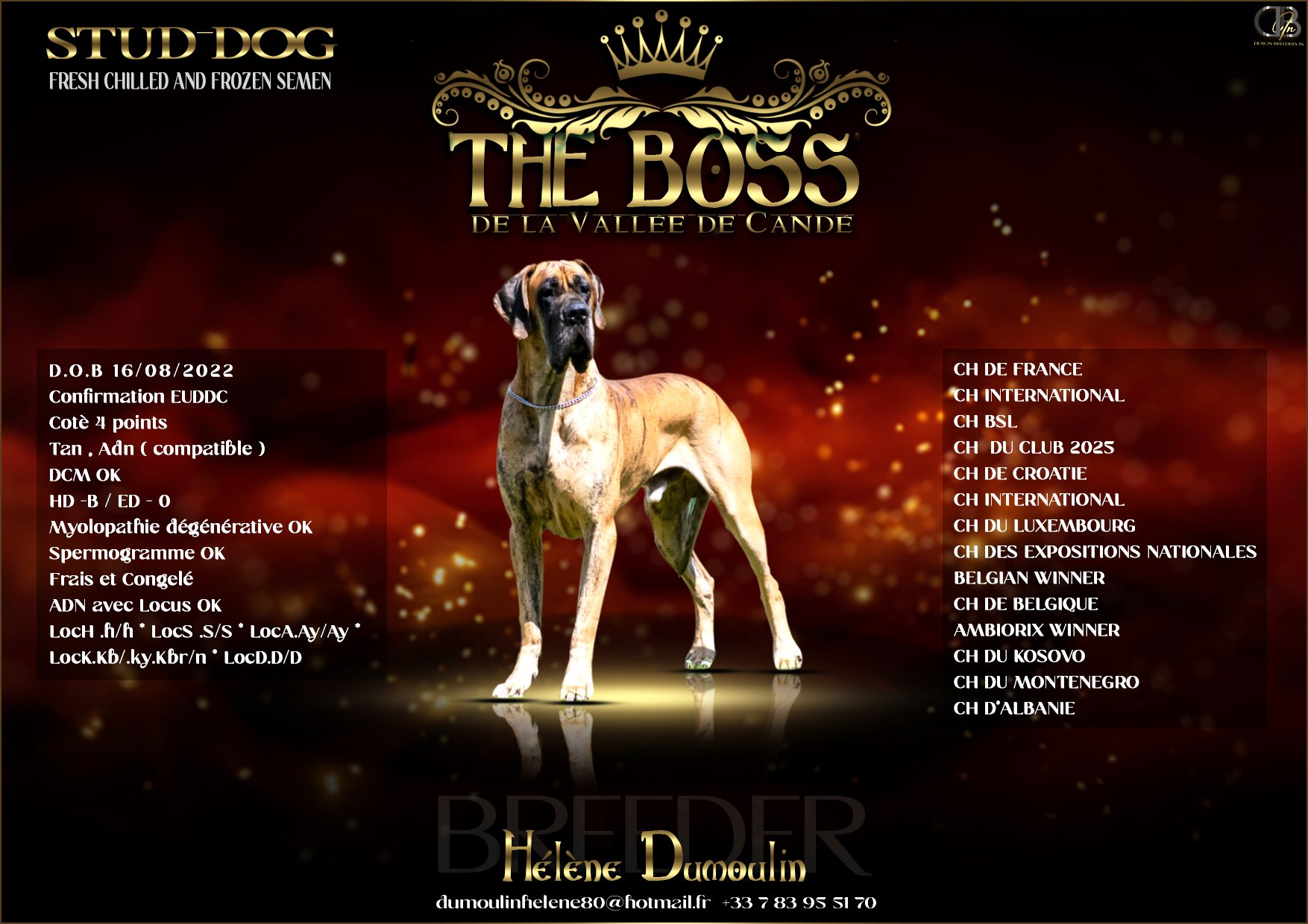 THE BOSS