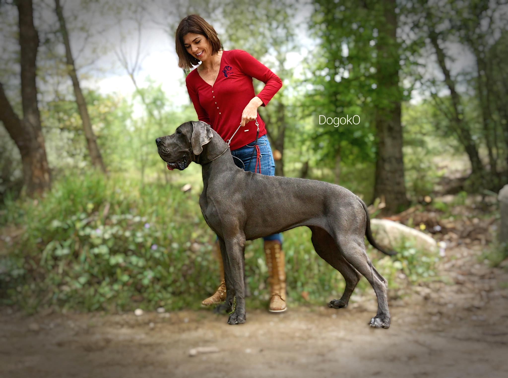 LENKA DE DOGOKO