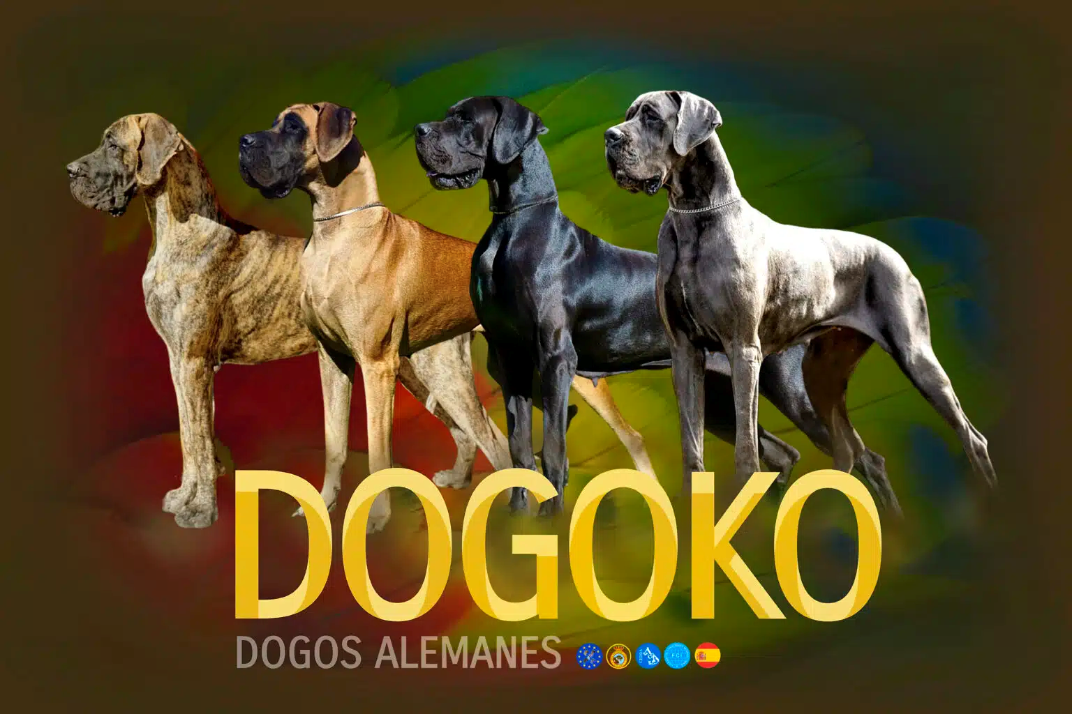 Bannière de l'élevage DOGOKO