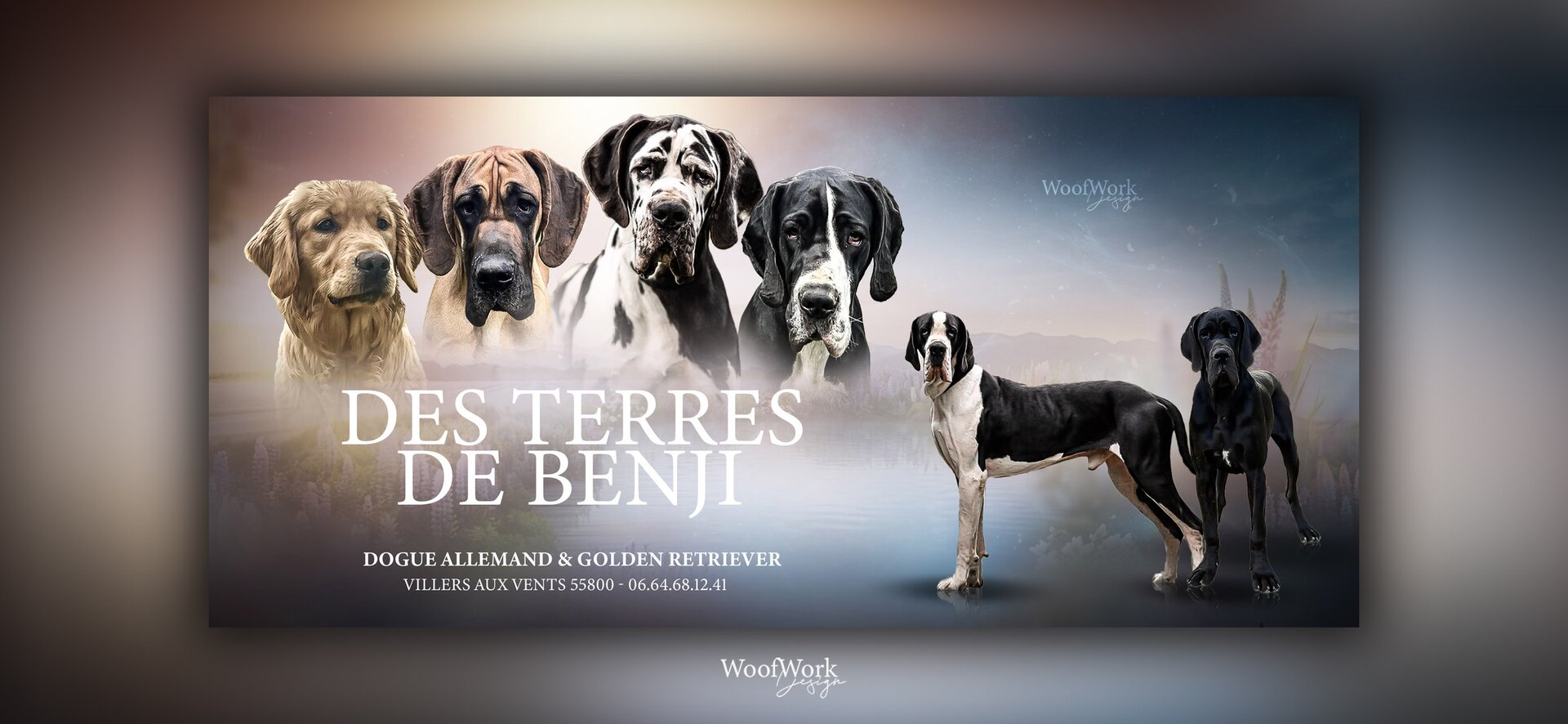 Bannière de l'élevage Les Terres de Benji