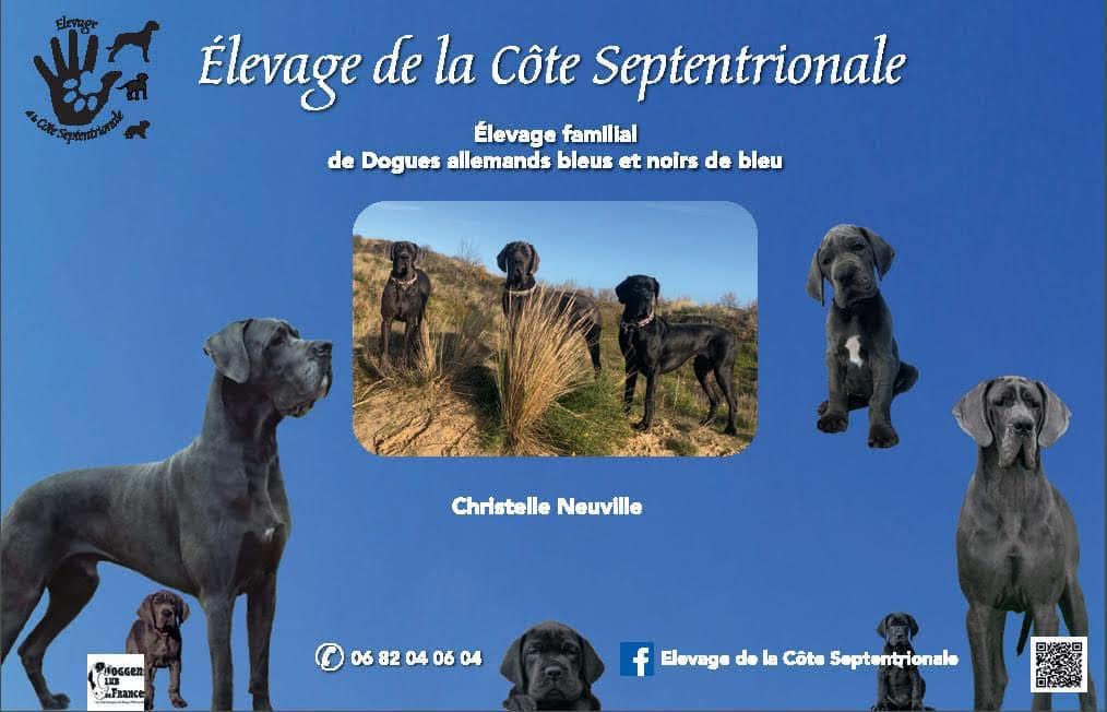 Photo L'élevage — La Côte Septentrionale