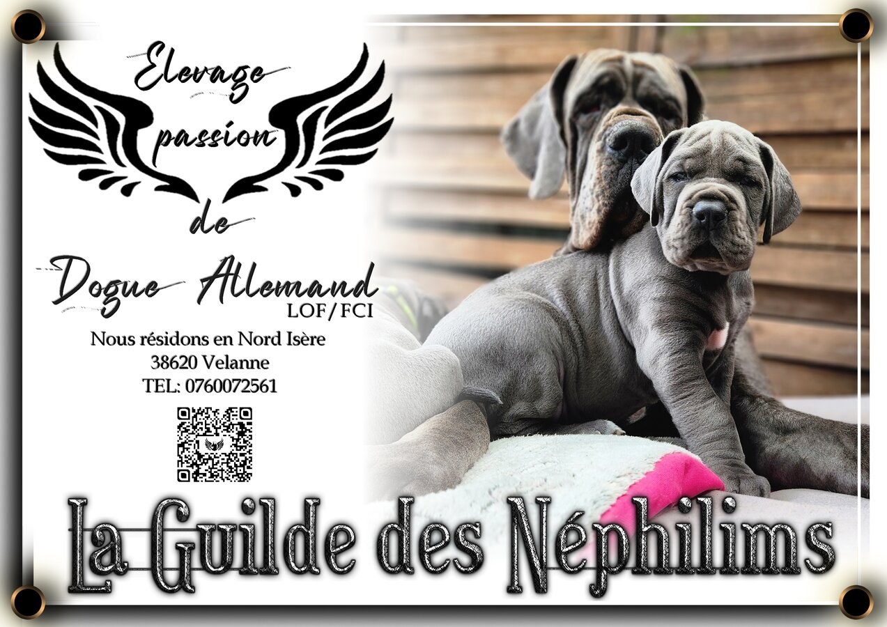 Bannière de l'élevage La Guilde de Néphilims