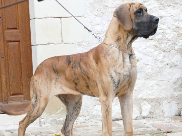 des Petites Vernières