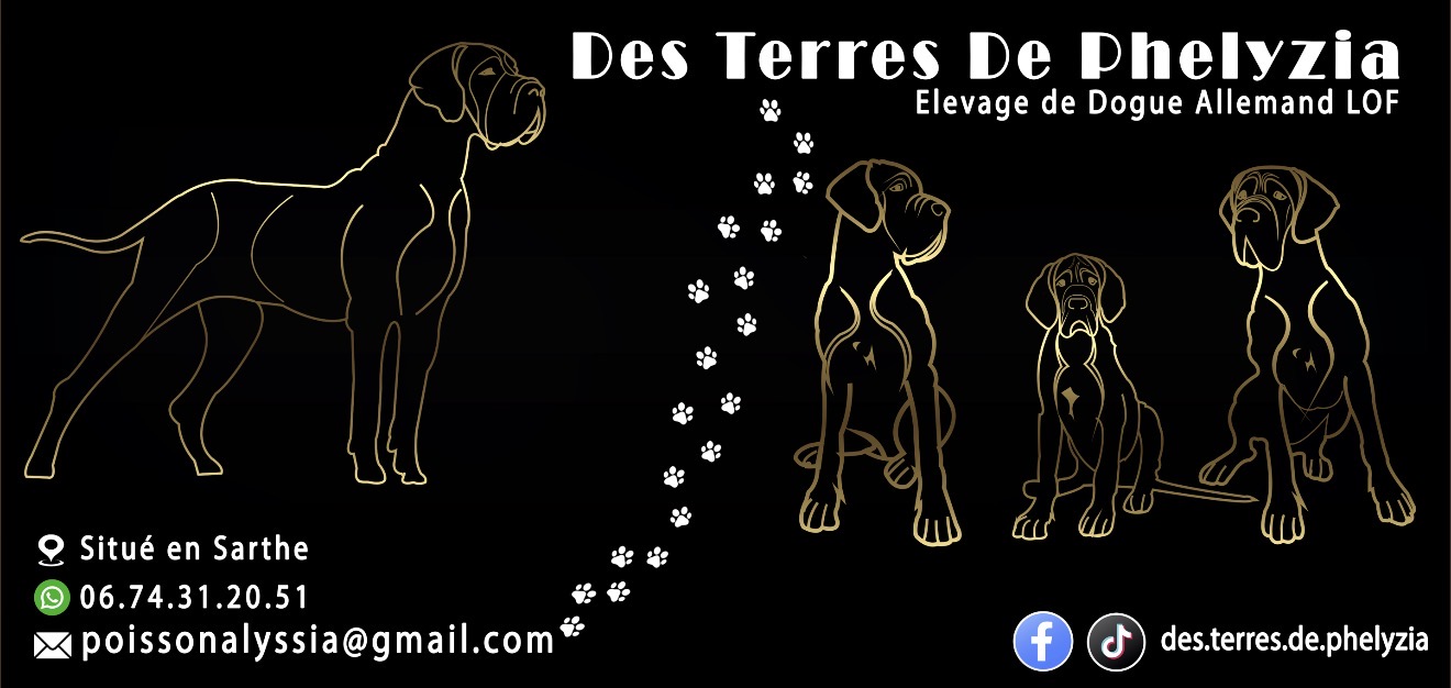 Photo L'élevage — Des Terres de Phelyzia