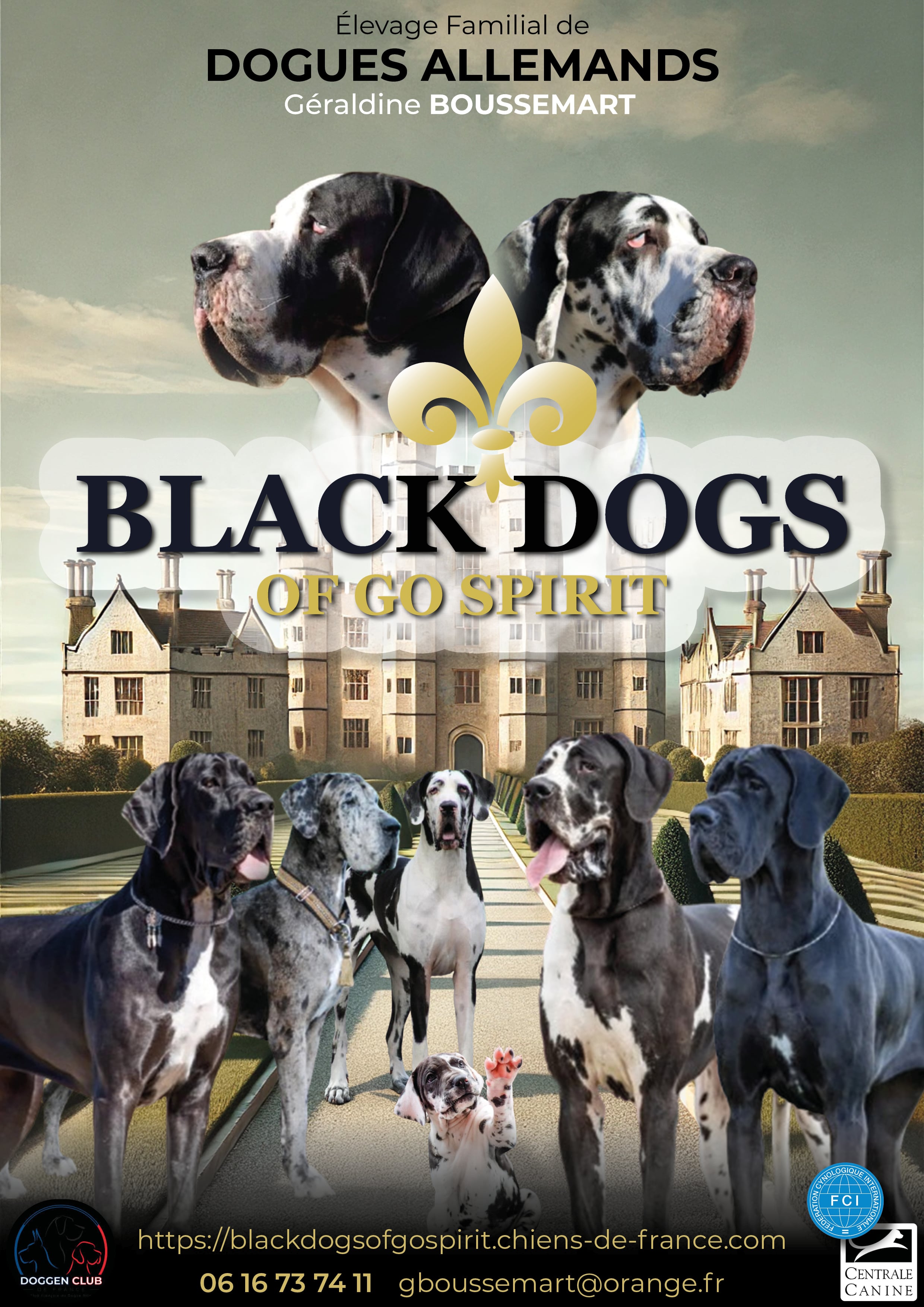 Photo L'élevage — Black Dogs of Go Spirit