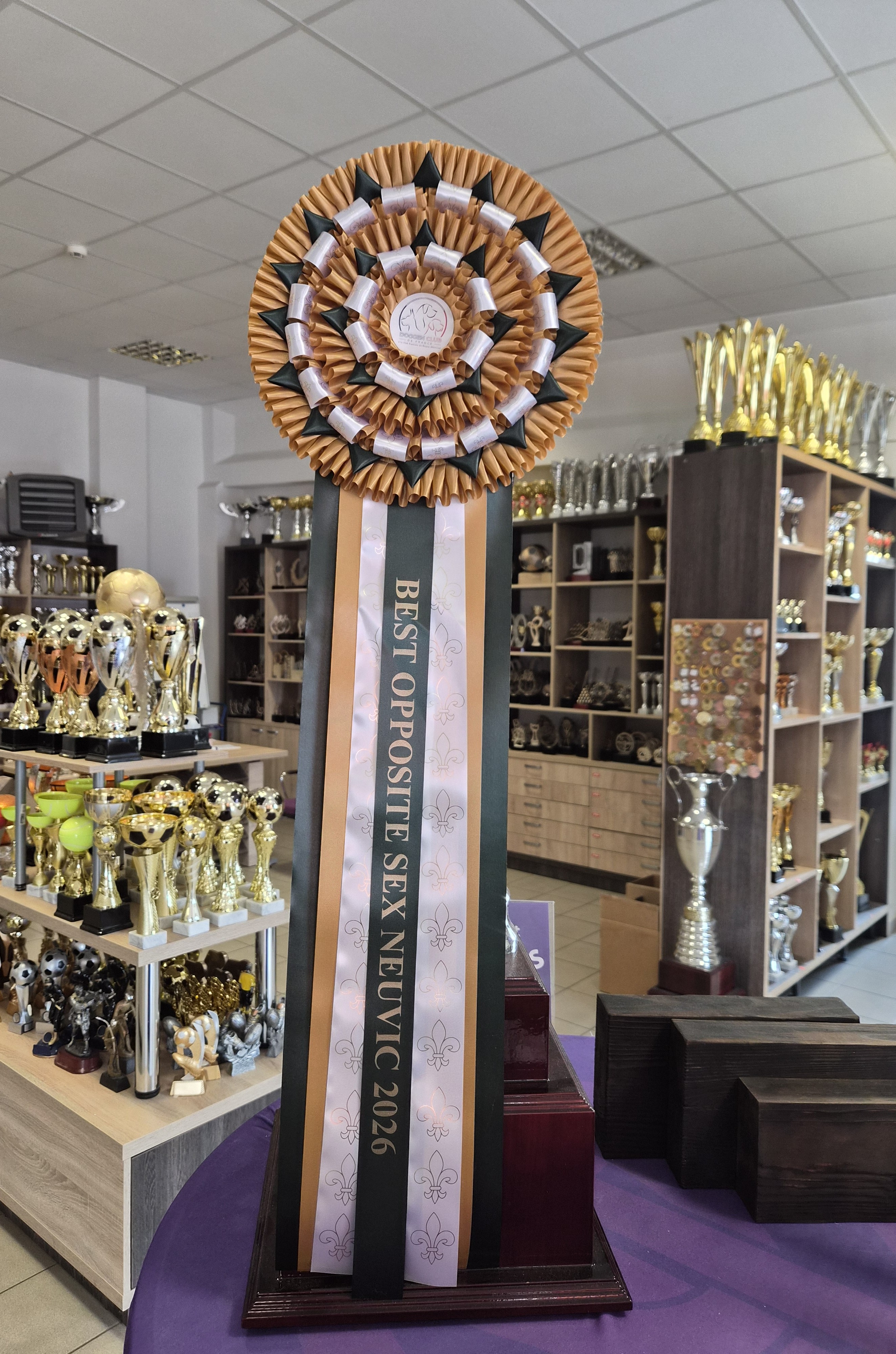 Trophée Best Opposite Sex