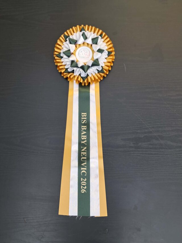 Trophée BIS Baby