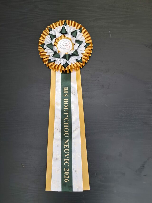 Trophée BIS Bout'chou