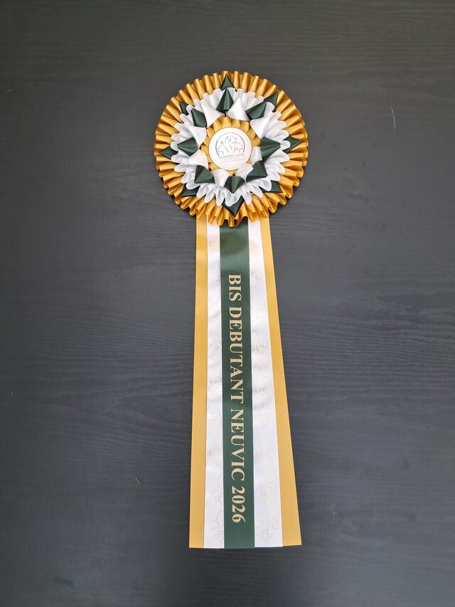 Trophée BIS Débutant