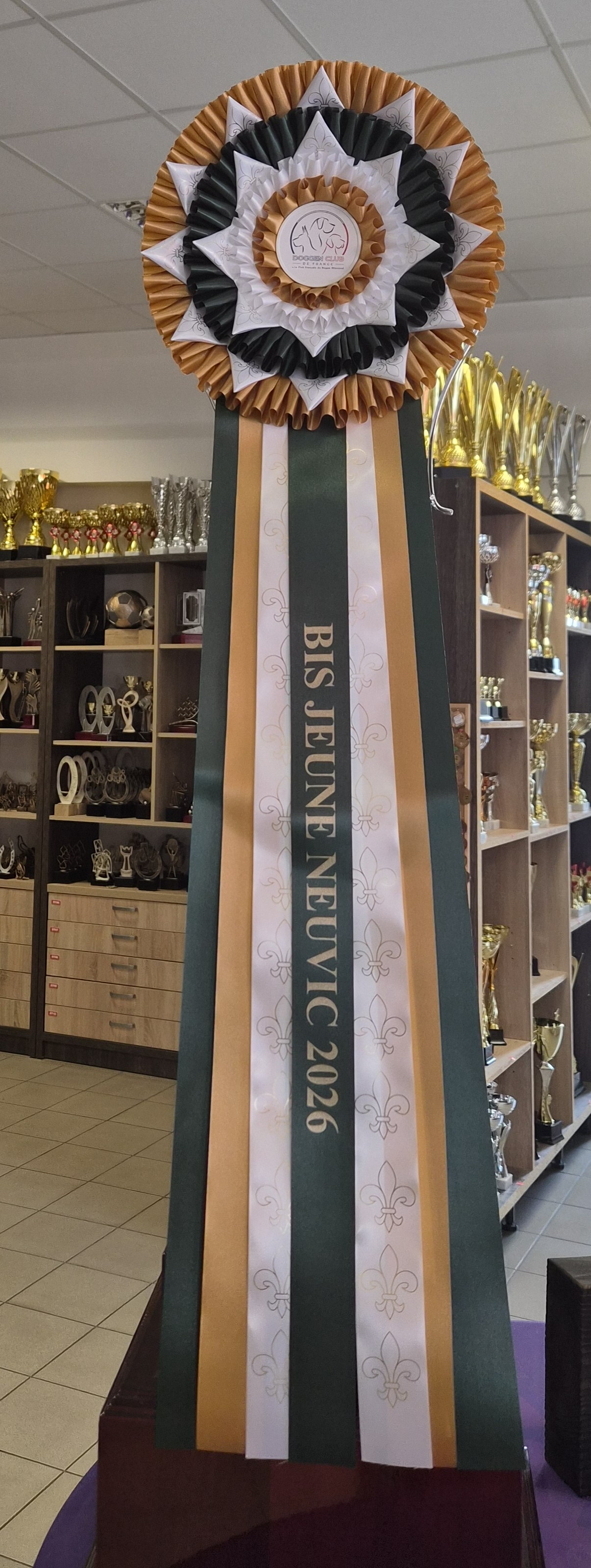 Trophée BIS Jeune