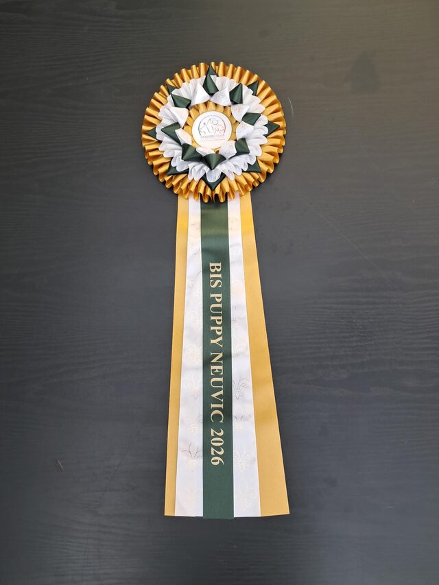 Trophée BIS Puppy