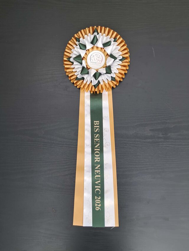 Trophée BIS Senior