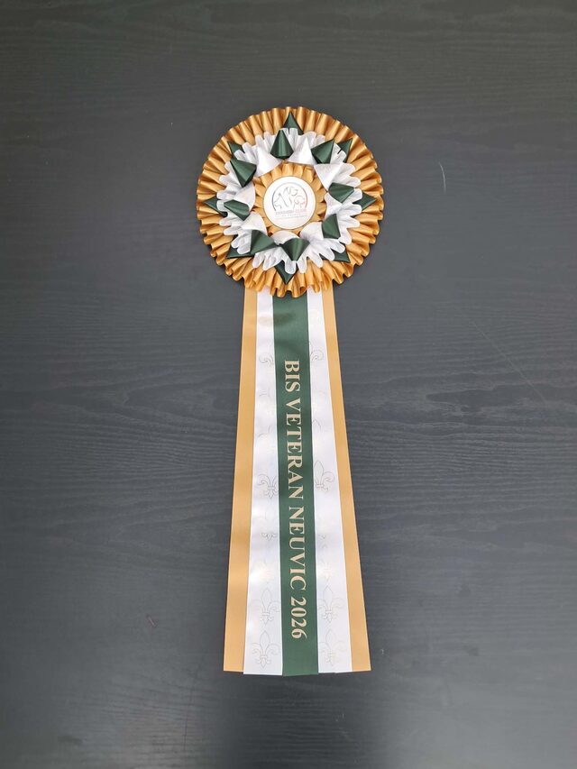Trophée BIS Vétéran