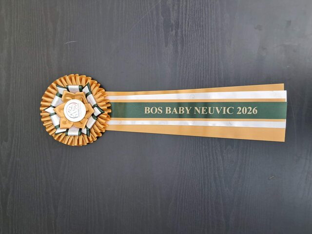 Trophée BOS Baby