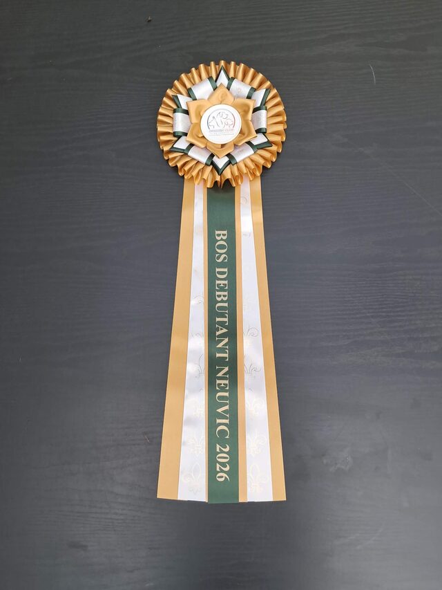 Trophée BOS Débutant