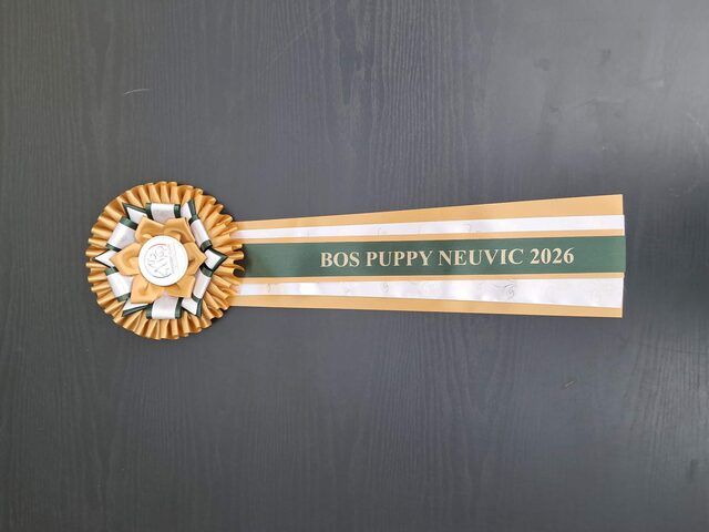 Trophée BOS Puppy