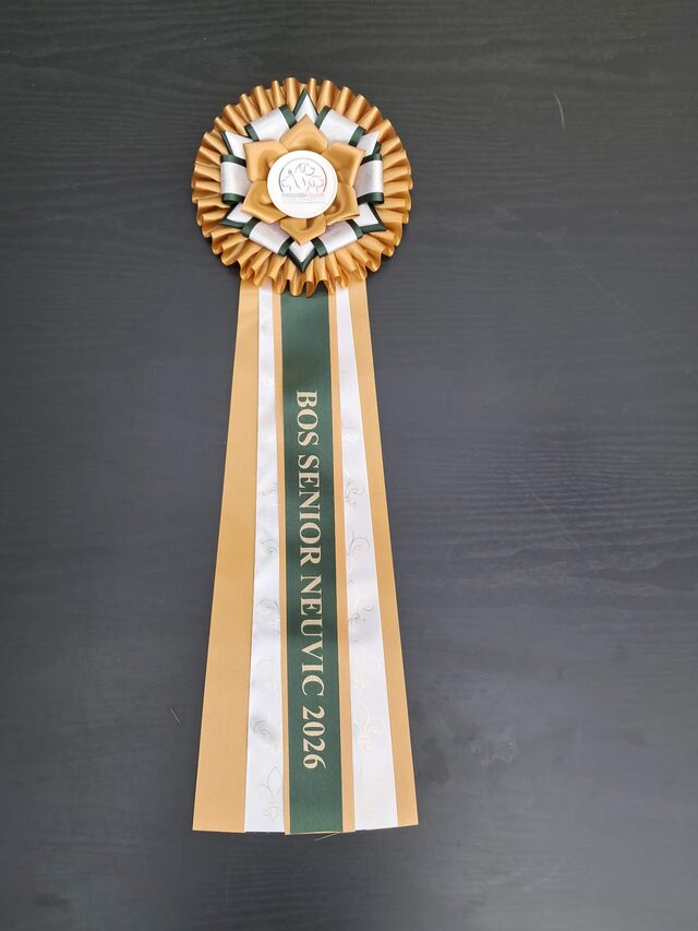 Trophée BOS Senior