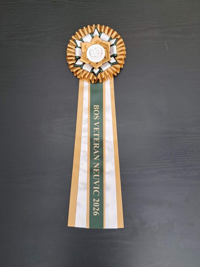 Trophée BOS Vétéran