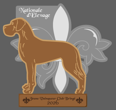 Exemple de trophée silhouette sur socle — Vainqueur du Club (adultes)