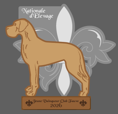 Exemple de trophée silhouette sur socle — Jeune Vainqueur