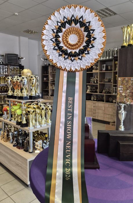 Best in Show