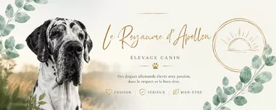 Élevage Du Royaume d'Apollon