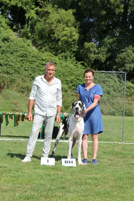 Photo de l'élevage Black Dogs of Go Spirit (21/42)
