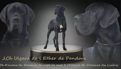 Photo de l'élevage L'Éther de Pandora (27/31)