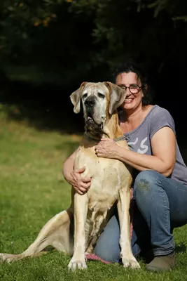 Photo de l'élevage De Valavergny (1/3)