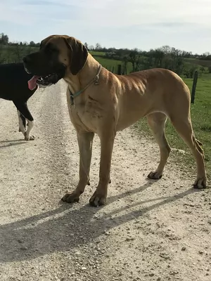 Photo de l'élevage Les Terres de Benji (5/6)