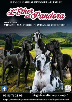 Photo de l'élevage L'Éther de Pandora (8/31)