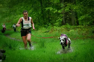 Photo de l'élevage Black Dogs of Go Spirit (95/97)