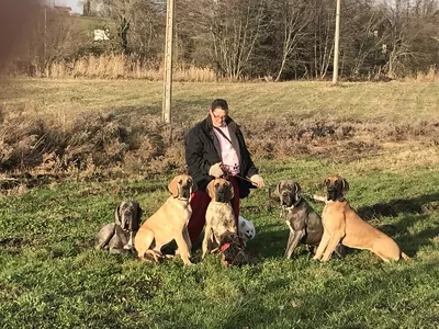 Photo de l'élevage La Guilde de Néphilims (11/20)