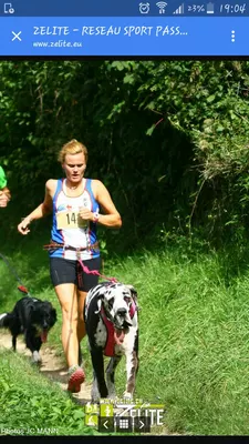 Photo de l'élevage Black Dogs of Go Spirit (78/97)