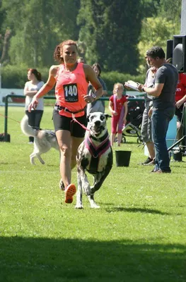Photo de l'élevage Black Dogs of Go Spirit (93/97)
