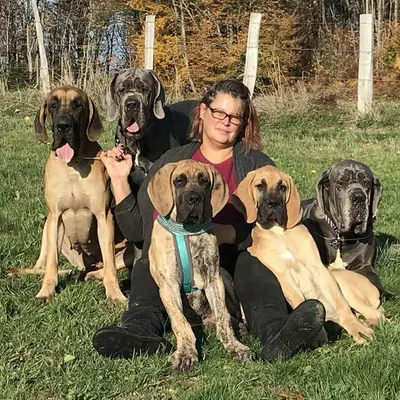 Photo de Celine COTTIER, éleveur