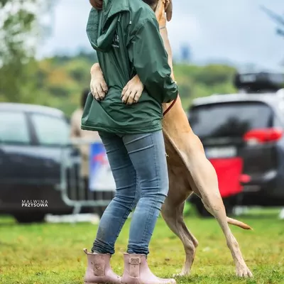 Photo de Stéphanie MATHOREL, éleveur