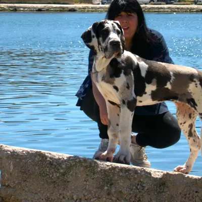 ARWEN — photo 2
