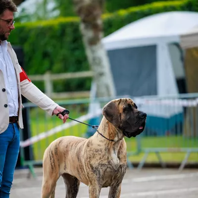 ARES — photo 1