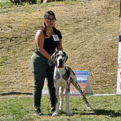 ARWEN — photo 3