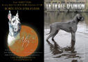 Couverture du Trait d'Union n° 270