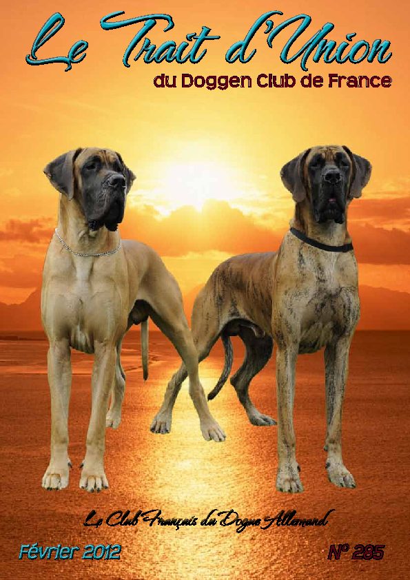 Couverture du Trait d'Union n° 285