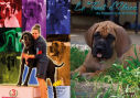 Couverture du Trait d'Union n° 299