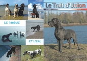 Couverture du Trait d'Union n° 311