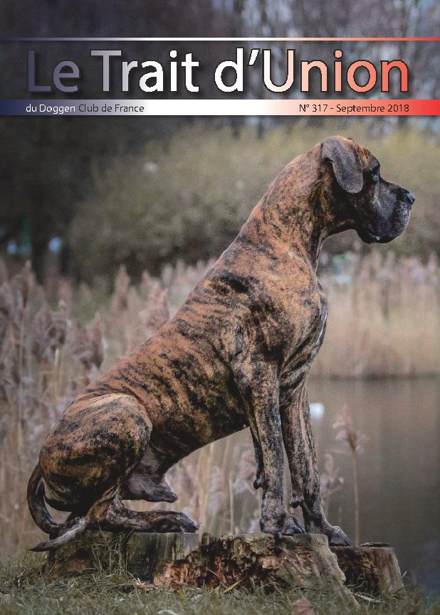 Couverture du Trait d'Union n° 317